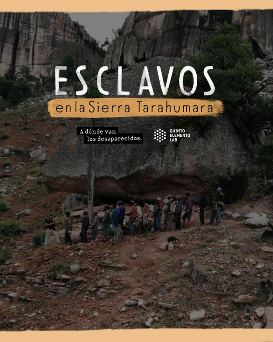 quintoelab's tweet photo. 🚨| ¿Esclavitud moderna? Les ofrecieron trabajo, pero terminaron como esclavos en campos de cultivo de drogas en la Sierra Tarahumara, en Chihuahua. Algunos lograron escapar. 

Desde 2015 existían denuncias, pero fue hasta julio de 2019, que 21 hombres fueron rescatados durante un operativo policiaco.
La historia no terminó ahí. Tiempo después, otros hombres escaparon de esos mismos campos.

Lee la historia #EsclavosEnLaSierra. Sobrevivir a los campos de trabajo forzado del narco ➡️https://t.co/vVExb4bAoT