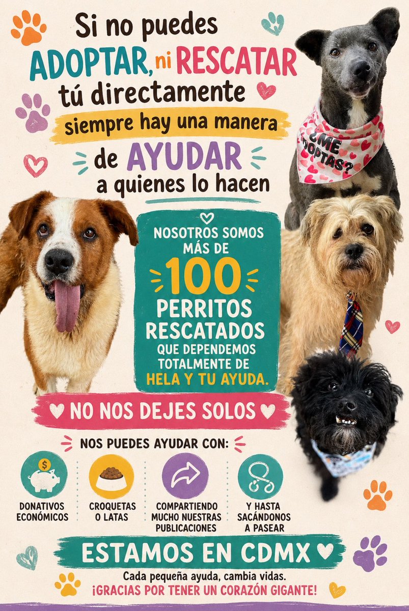 HELA_MORE's tweet photo. No todos pueden adoptar o rescatar, pero todos podemos ayudar. 🐾❤️

Más de 100 perritos rescatados dependen de nosotros para tener alimento, atención y una oportunidad de encontrar una familia.

Ayúdanos con donativos, croquetas, latitas, compartiendo nuestras publicaciones o regalándoles un paseo.

Cada ayuda, por pequeña que parezca, cambia una vida. 🐶✨

📍CDMX
