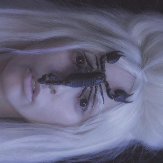 GagaSickMonster's tweet photo. rocket number nine take off to the planet

♃ ☌ ♀ https://t.co/AZCBAqrfVt