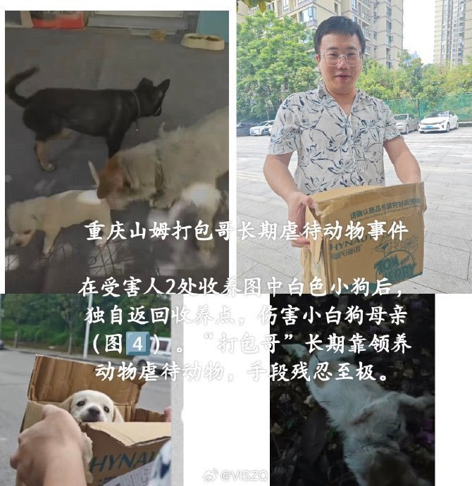 leonaviii's tweet photo. @SpoxCHN_MaoNing Is the Communist Party of China going to made laws to punish animal abusers? To address the on going incident going on in ChongQing, China? https://t.co/r88ltFTwWl