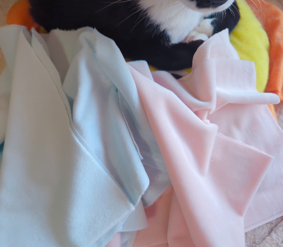 snnmaska's tweet photo. 布が来ました。大量のぬいが作れそうな量です。（最低ロット） https://t.co/amhlAcMLpD