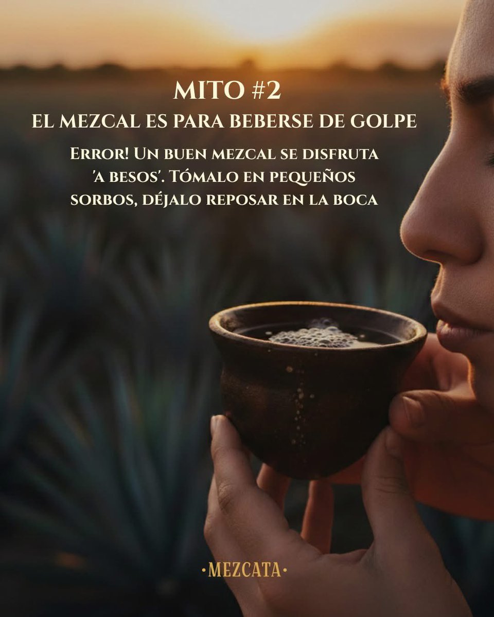 MezcataMx's tweet photo. Menos mitos, más mezcal. 

En este carrusel te contamos 3 que ya es momento de dejar atrás.

👉 ¿Qué otros mitos sobre el mezcal conoces o te han dicho?

Te leemos en los comentarios 🍃🥃 https://t.co/x6SnAidZ7r
