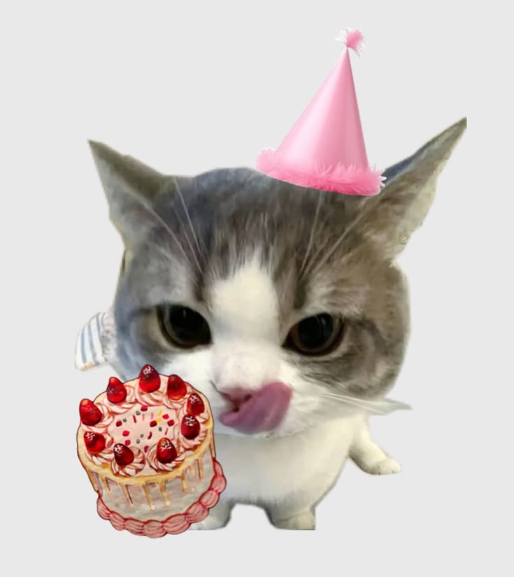 saihatake_'s tweet photo. Happy Birthday raa @CatuGadu 🎊🫶 https://t.co/6X4VuZwU0B