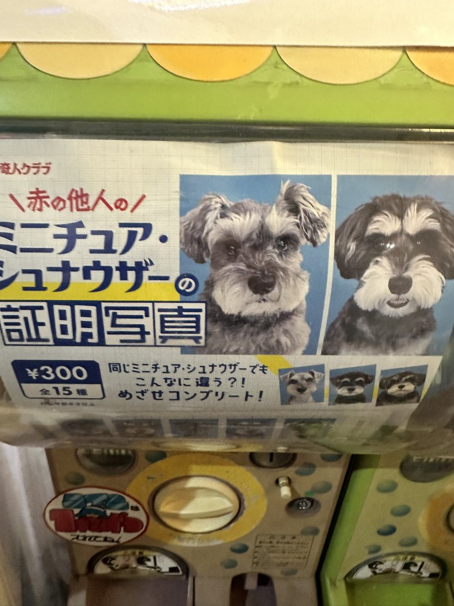 sora14sky's tweet photo. やっと見つけた…！！🐶🩵
コンプしたい。
てことで今日から帰省しますー！ https://t.co/sDk3Pff17W