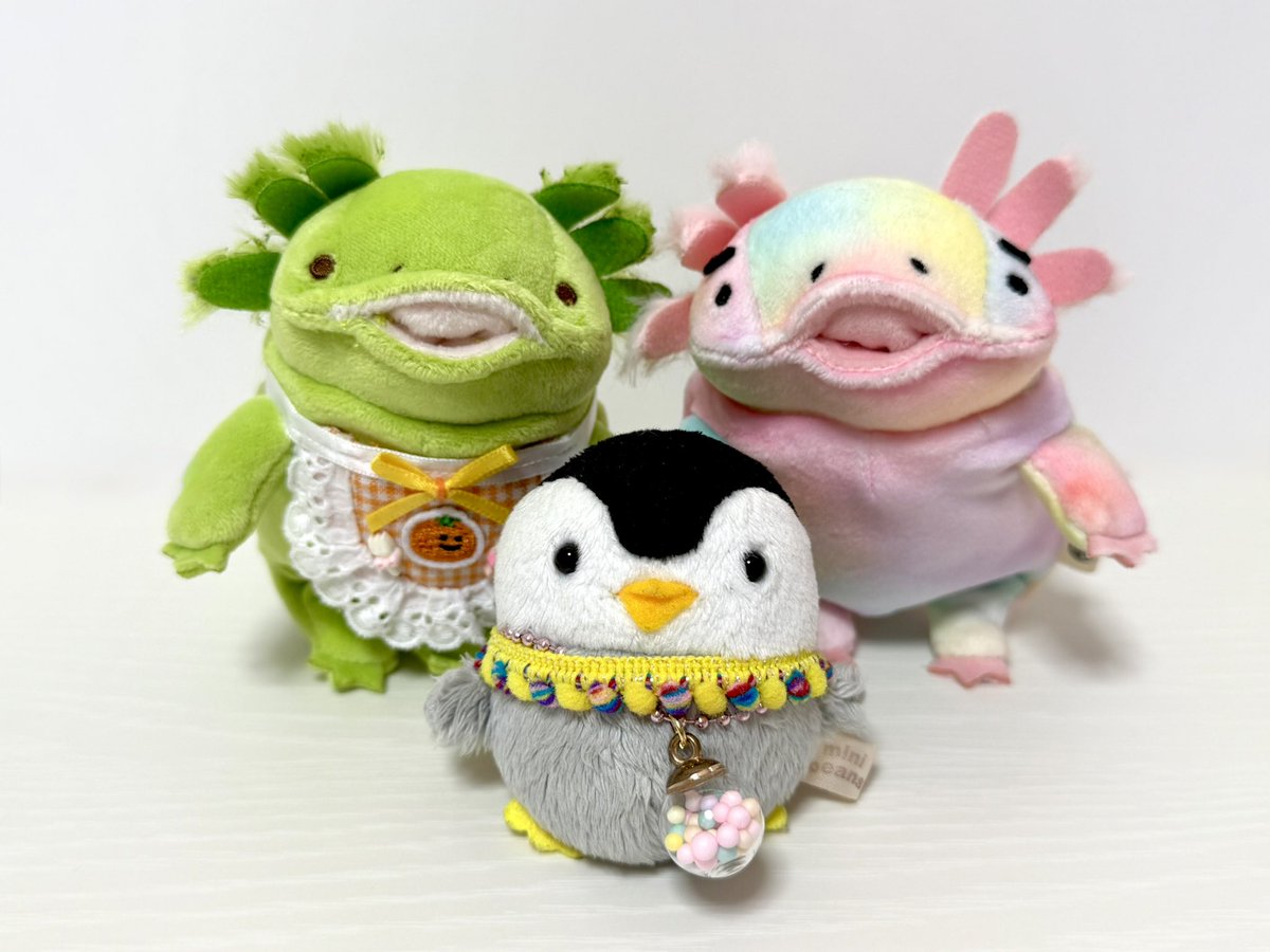 oni_mal's tweet photo. 『みんな、おはよう！』

#ミニビーンズ　#もちうぱ
#ぬい活　#ぬい撮り
#おはよう https://t.co/dfPm445nv1