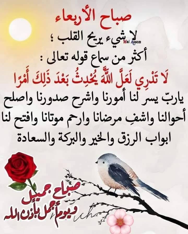 akiluno_a's tweet photo. امين يارب العالمين جميعا 🤲 https://t.co/8SpcLSpEUv