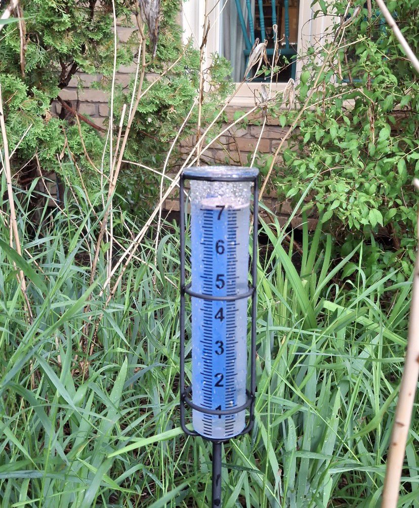 rickloewen's tweet photo. @HeatherWellsCBC 7” of rain in Linden c/w our own tornado warning. What a spectacle! https://t.co/5BzGnvNJgv