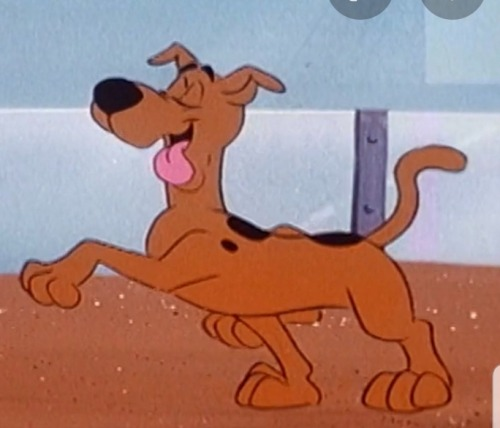 Mystery Incorporated 🔎 tweet media
