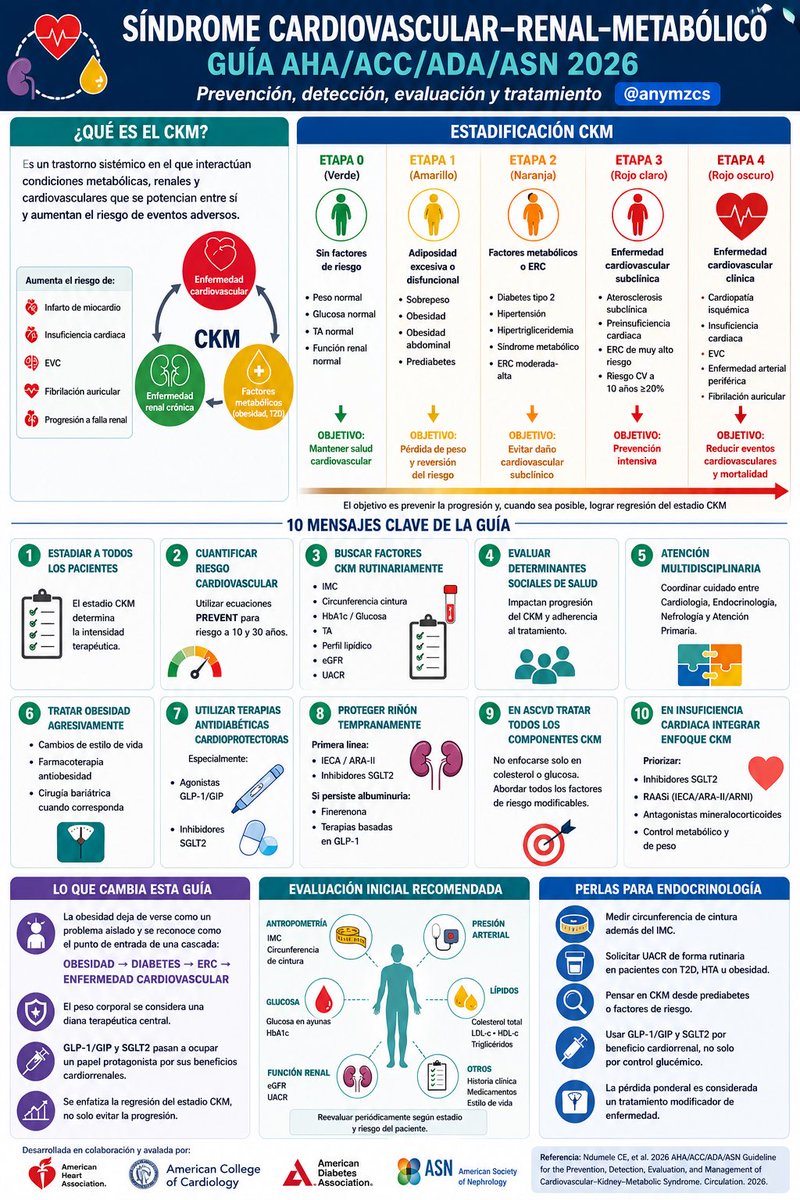 anymzcs's tweet photo. Lo que la clínica llevaba años susurrando, la ciencia por fin lo formaliza.

El síndrome CKM no es una suma de enfermedades. Es una sola fisiopatología con cuatro caras.

La guía AHA/ACC/ADA/ASN 2026 ya lo reconoce.
🫀🫘  
 👇🏻 👇🏻 👇🏻 

#CKM #Endocrinología #Cardiología #Nefrología 🇲🇽❣️