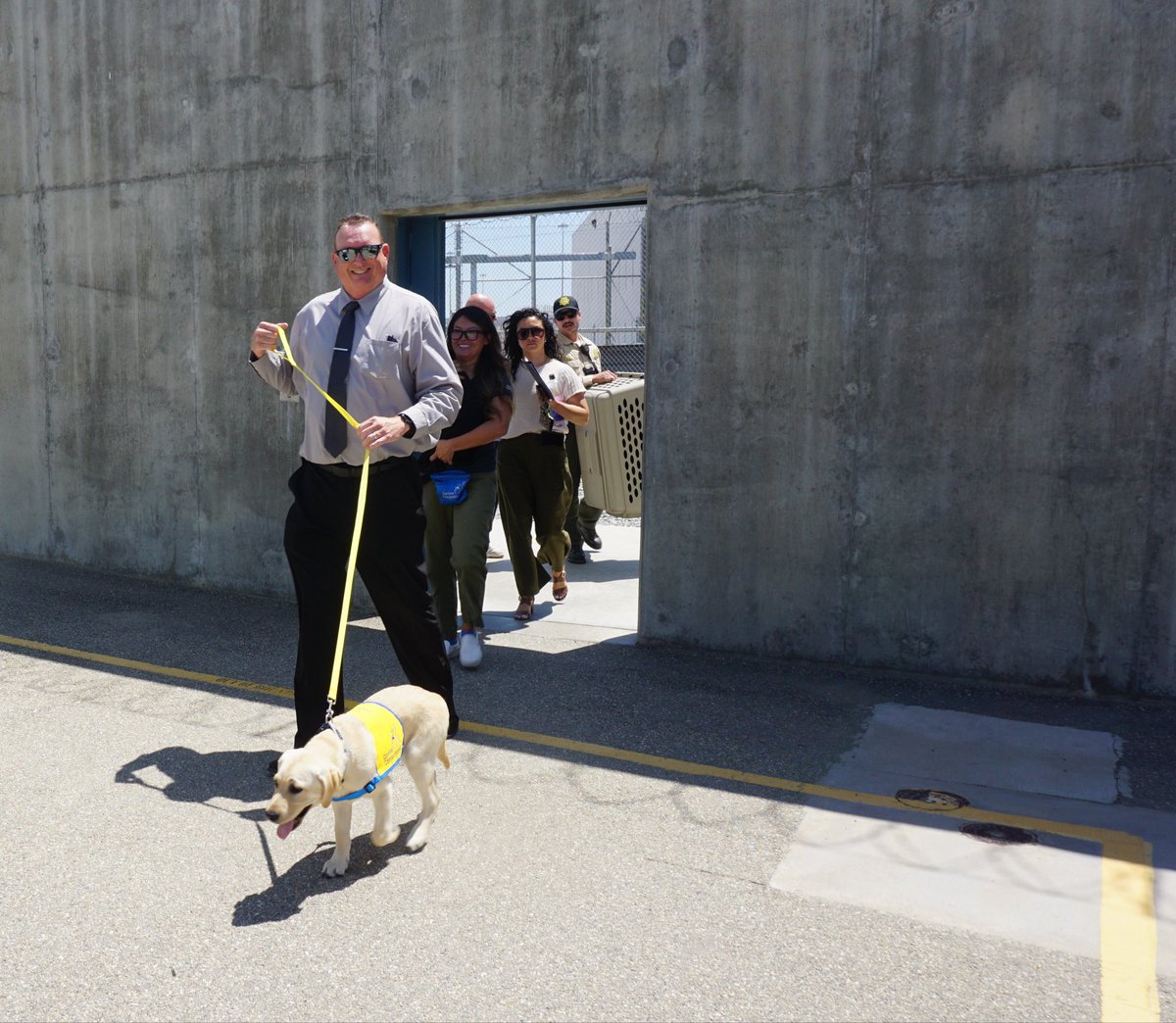 CACorrections's tweet photo. Kern Valley State Prison has implemented a new Canine Companion #dogtraining program on their Level III Non-Designated Program Facility.
 
The Canine Companion organization arrived May 6 with three-month-old puppies named Owen, Sweetpea, Flicker and Vivid. https://t.co/IOYQIC3IVg