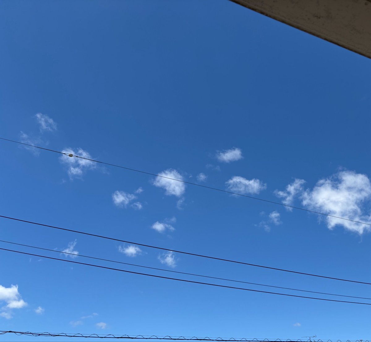 _____smap0507's tweet photo. ひろくん💙こんにちは
いいお天気だよ
でも 気温 湿度? 今日はフラフラする😵💫
なんだろう
寝不足かなー
散歩も終わったので🐶ゆっくりしてよう
正広体調大丈夫かな
じょしこさん フル回転
快適に過ごしてね
#中居くん大好き
#あの子たち
#sixmap https://t.co/5hKPszip8s