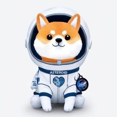 AlonsIntern's tweet photo. With the USDC meta why aren’t we sending Asteroid?

Sending all fees to @rebeccaperrotto 

She claimed the bags coin i’m sure she will claim this one to

This is giga and will end all the pvp sending Asteroid to multibillions on USDC https://t.co/HfXB4RAGXM