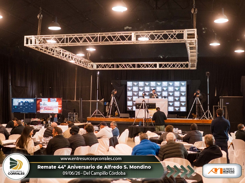 EntreSyC's tweet photo. 09-06-26 – Fotos del Remate Aniversario de Alfredo S. Mondino - Del Campillo, Córdoba. Ingresá a:
https://t.co/FnJM1BJtI2 https://t.co/sGAr3YpUTi