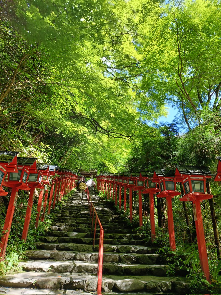 MLsonata14's tweet photo. 貴船神社へ⛩️

新緑から深緑の季節へ🟢
朝から京都市左京区鞍馬貴船に鎮座する貴船神社に参拝しました🙏
ここに来ると時間がゆっくり流れ深緑で心が癒されます🍀
結社、奥宮へとひんやりとした空気の中ゆったり散策できました。
直書き御朱印を拝受しま���た🍀 https://t.co/brxtVUcq8P