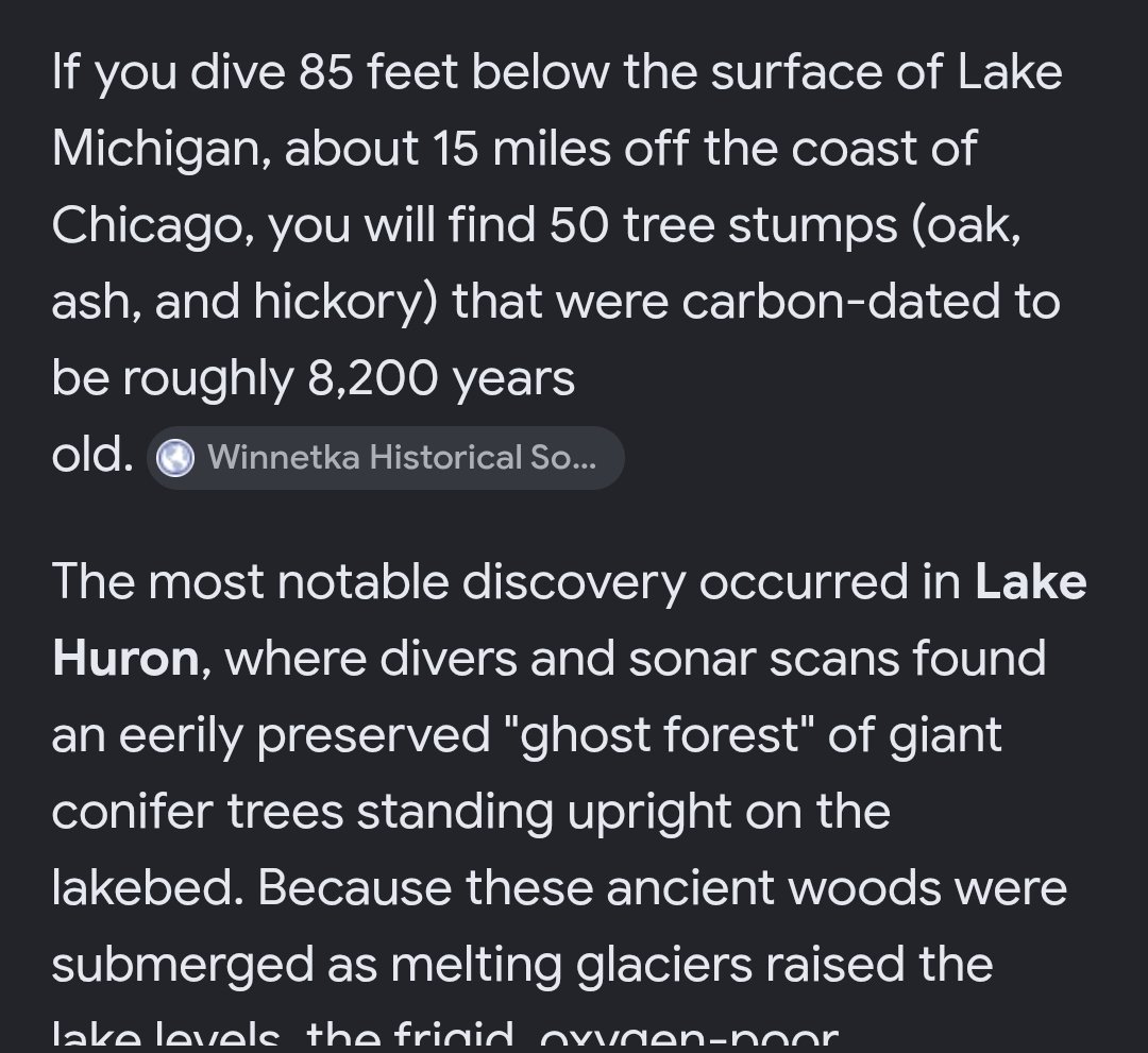 killa_pump's tweet photo. Ghost forest underneath Lake Michigan and Huron?? .. wtf!!! I gotta look more into this one.. yet they say no way were these manmade lol https://t.co/r5fiCsuEbX