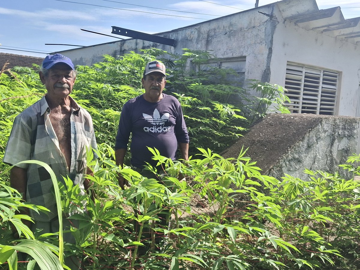 ComercioVe53094's tweet photo. #ComercioCuba
#GECICamagüey #Vertientes #Camagüey 
Lo que antes fuera cuna de mala hierba y depósito de escombros, es hoy fuente de alimentos. Así celebramos en Comercio el día Mundial del Medio Ambiente. Reza el fefrán: "Si el hombre sirve, la tierra sirve". Con solo sus manos. https://t.co/Xj0xvFEkdp
