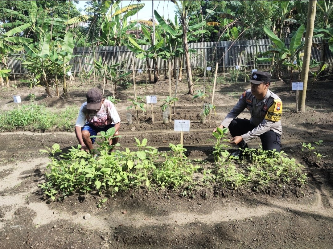 Hoyik5's tweet photo. Dari desa untuk Indonesia, Bhabin Glonggong Dolopo bersama mewujudkan swasembada pangan
#ketahananpangan
#swasembadapangan
#astacita
#ketahananpanganpolresmadiun
#KabupatenMadiun
#PolresMadiun
#JawaTimur https://t.co/GKpbdR18y3