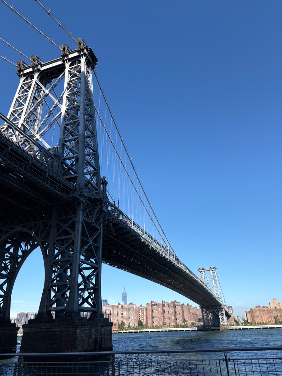vampireweekend0's tweet photo. today i walked 6 miles before work and bought my dream pair of shoes just coming back on to twitter to share https://t.co/DNvgDrQgQ7