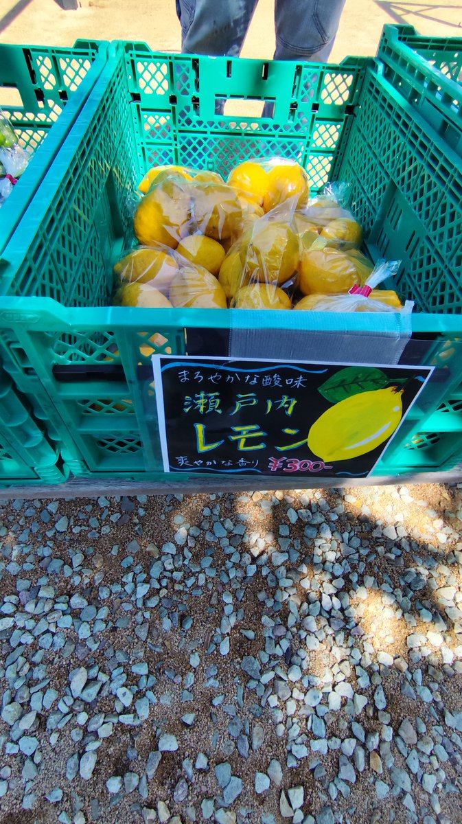 水曜恒例【アキチで朝市】 エキマエアキチの道路側で開催しています