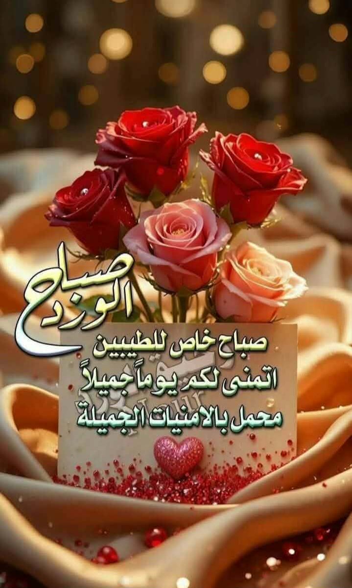 akhaldi74's tweet photo. @AlshykhlyS34742 https://t.co/EEkqjPJ0Bk