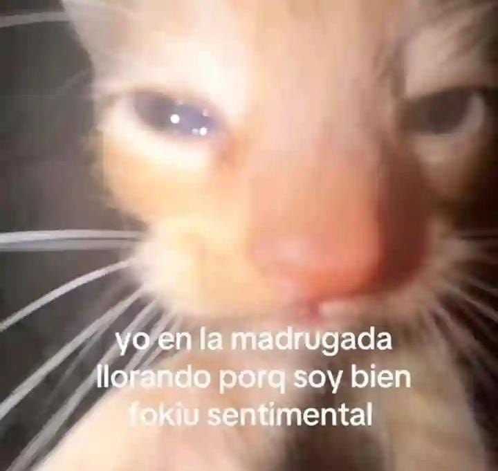 ivyy tweet media