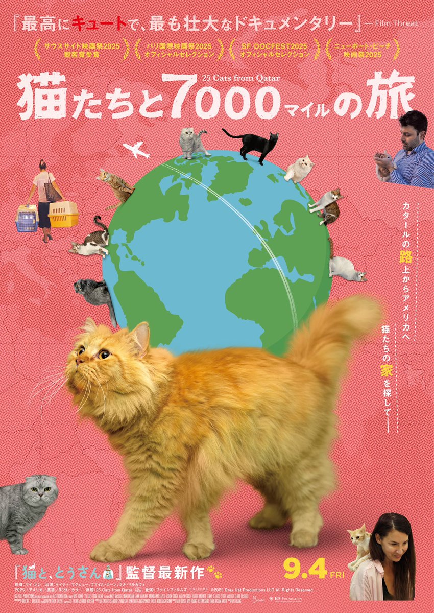 cats7000miles's tweet photo. /／
『猫と、とうさん』マイ・ホン監督最新作🐾
\＼

カタールの路上からアメリカへ
猫たちの家を探してー

『猫たちと7000マイルの旅』

9.4(金)ヒューマントラストシネマ有楽町、ヒューマントラストシネマ渋谷ほか公開🐈🐈‍⬛ https://t.co/jeF0uF766L