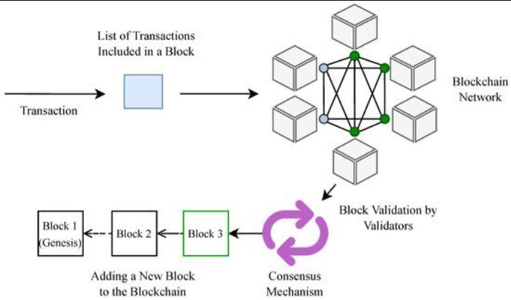 MMimmoy's tweet photo. What is Blockchain? 
🤔 Blockchain is a technology where information (data) is stored in blocks 🧱 and each block is linked to the previous block 🔗. Hence it is called "Block + Chain" = Blockchain ⛓️. #Blockchain https://t.co/9yPAqnw0dW