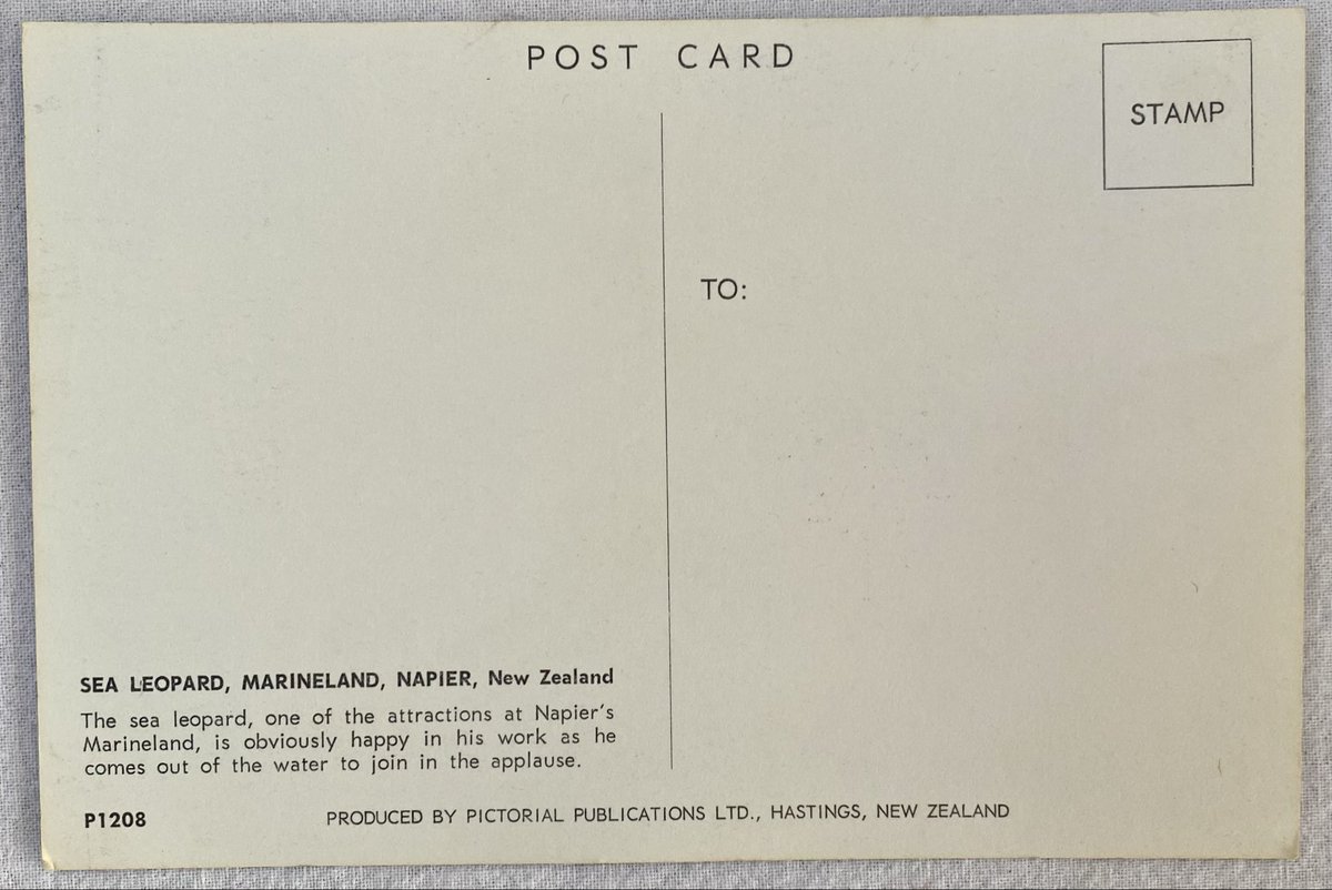 robot_pup's tweet photo. @LSealArchive Oh, idk how this ended up on Facebook but that’s a pic of my postcard XD here’s the back if you’d like. Someone did dm me for clearer photos of it once https://t.co/u94O0SZ4iE