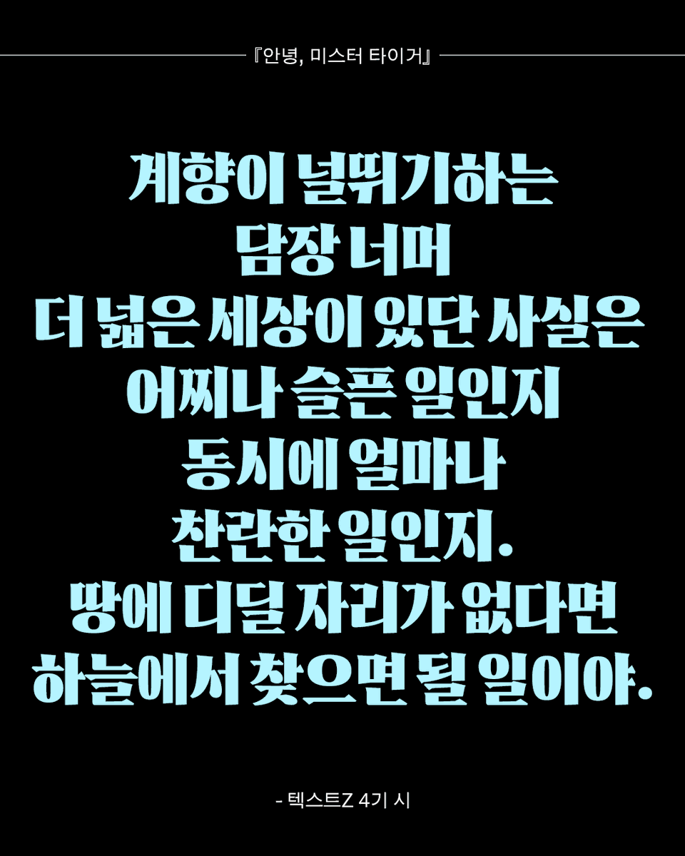 textz_official's tweet photo. ❝범의 팔자를 타고난 여인이 천수를 누리며
카메라로 온 세상을 담아내길 응원하게 되는 이야기.❞

텍스트Z🖤 리뷰로 보는『안녕, 미스터 타이거』 https://t.co/hbPmeGQN2z