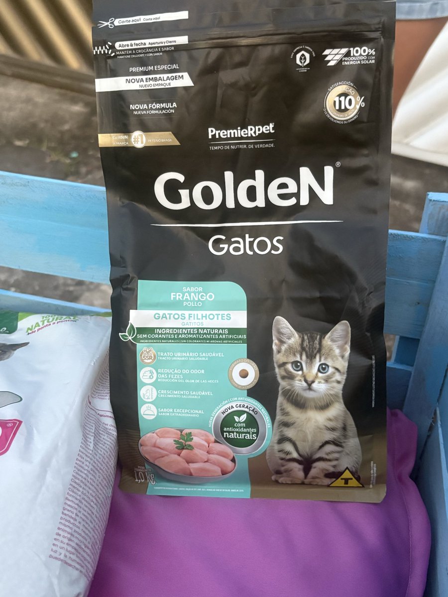 elyvibennett's tweet photo. Hoje foi dia de levar as caminhas e brinquedos que eu e minhas amigas fizemos para a ONG de gatinhos resgatados. Estou apaixonada nesse resultado final 🥹 https://t.co/ar0cr6lJ1c