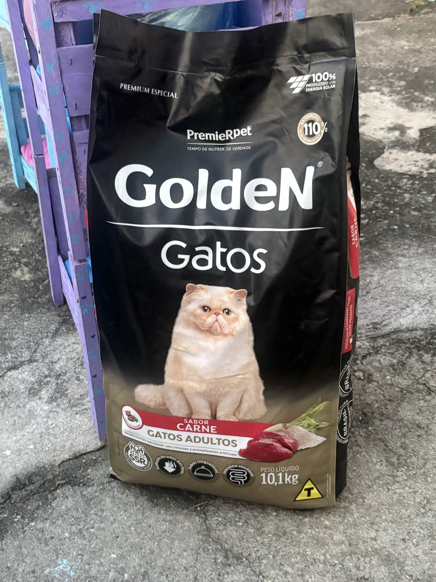 elyvibennett's tweet photo. Hoje foi dia de levar as caminhas e brinquedos que eu e minhas amigas fizemos para a ONG de gatinhos resgatados. Estou apaixonada nesse resultado final 🥹 https://t.co/ar0cr6lJ1c