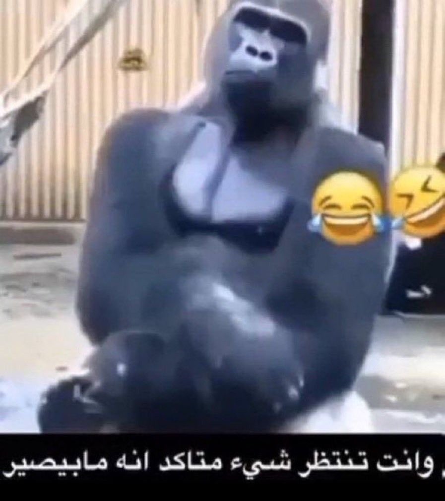 Imstronker's tweet photo. عندي احساس المنتخب بيبدع 

طبعا متابع ودية وحده اللي هي السنغال واقول كذا وغالبا بنلقم ٥-٠ ضد إسبانيا https://t.co/mKojrfycxU