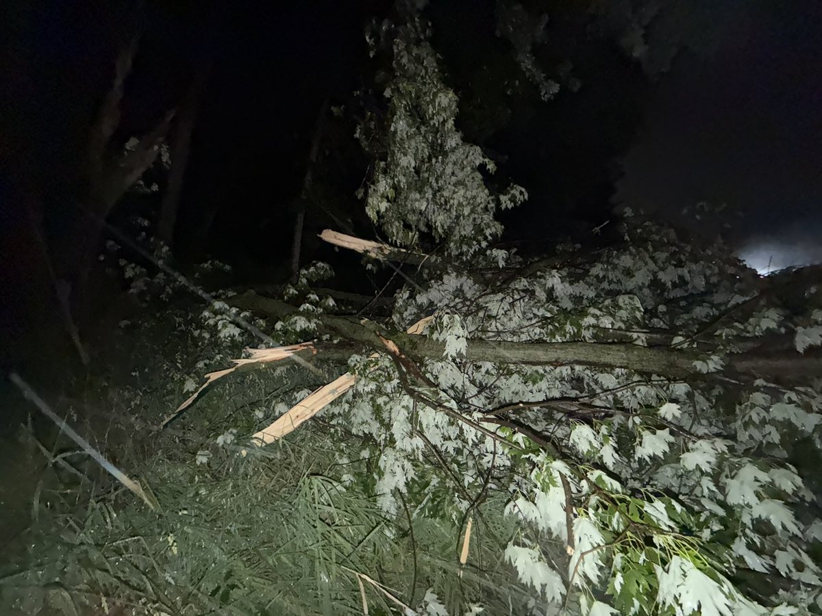stormchaserJoe7's tweet photo. Large Tree limbs down along I-65 shoulder at my location. @NWSIndianapolis #inwx @WTHRcom https://t.co/VSOBWym6DE