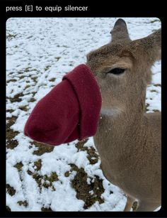 ipostdeer's tweet photo. https://t.co/QvdVCo64ev