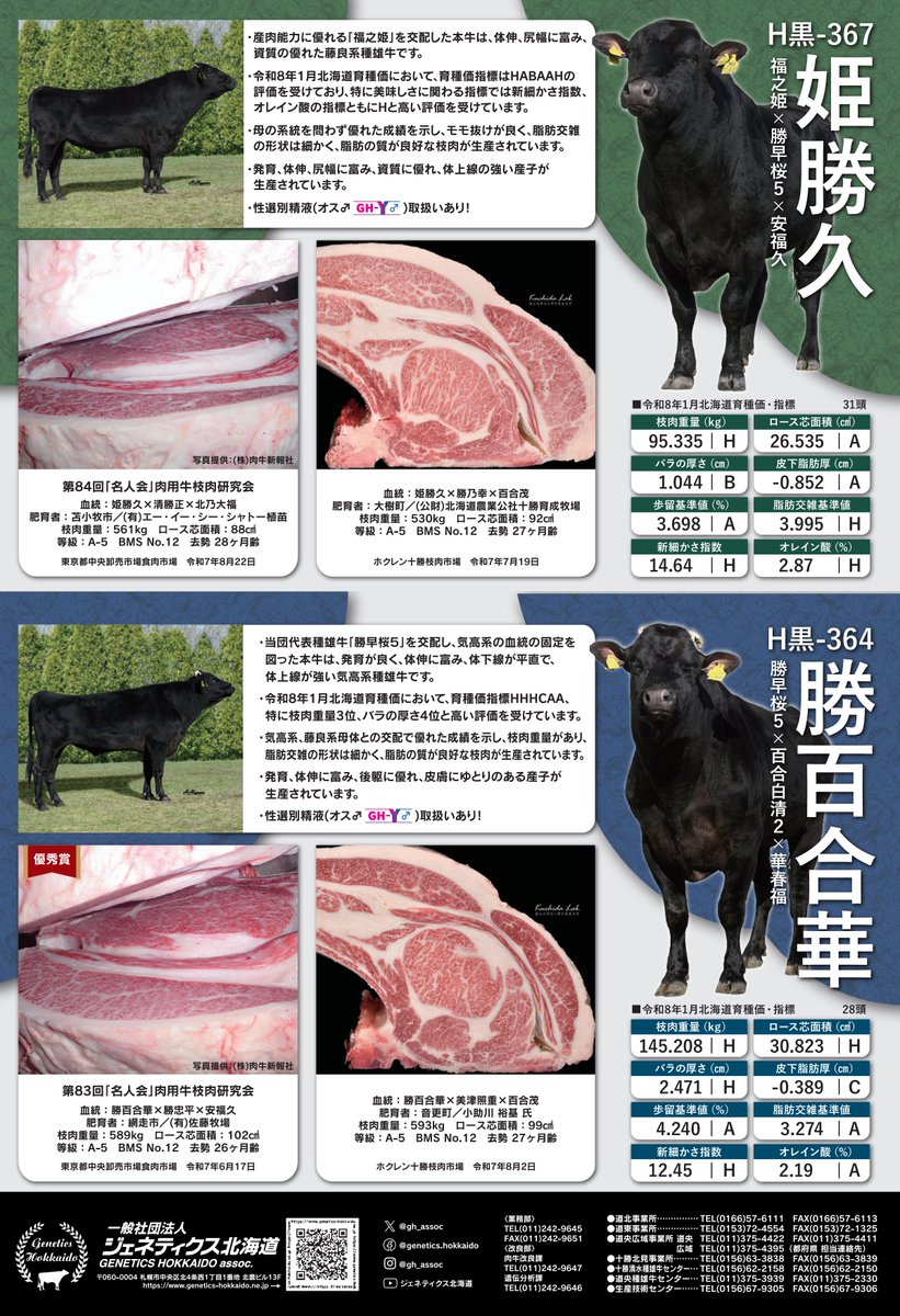 gh_assoc's tweet photo. ／
広告掲載のお知らせ📢
＼

肉牛ジャーナル６月号に掲載された広告をご紹介！
ぜひ誌面でチェックしてみてください👀✨

#姫勝久 #勝百合華 https://t.co/xVnqB4IcwO