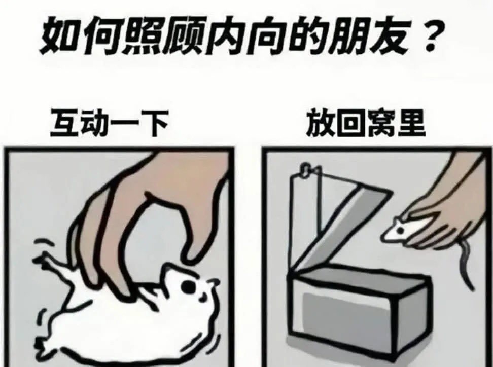 dearemon's tweet photo. 對待I人請如對待哈姆太郎一般
(E人給我記得) https://t.co/psBE2mDZ2L
