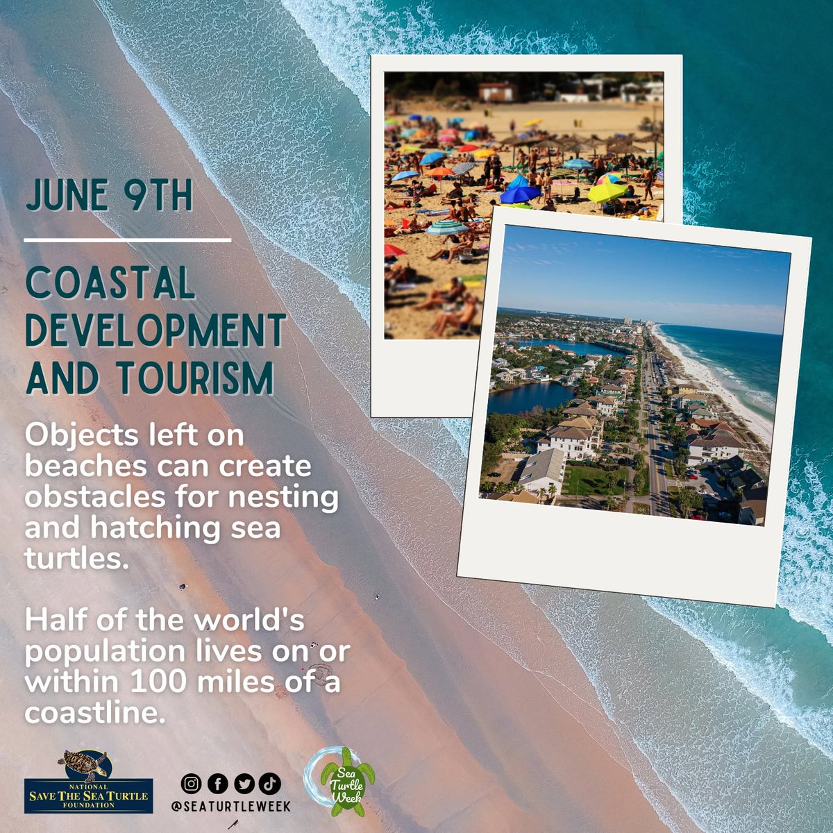 seaturtleweek's tweet photo. Coastal Development Puts Sea Turtles at Risk. 

🔗 Learn how to help protect sea turtles: https://t.co/UOiz0Bsyyp

#SeaTurtleWeek https://t.co/tpclEKeO0G