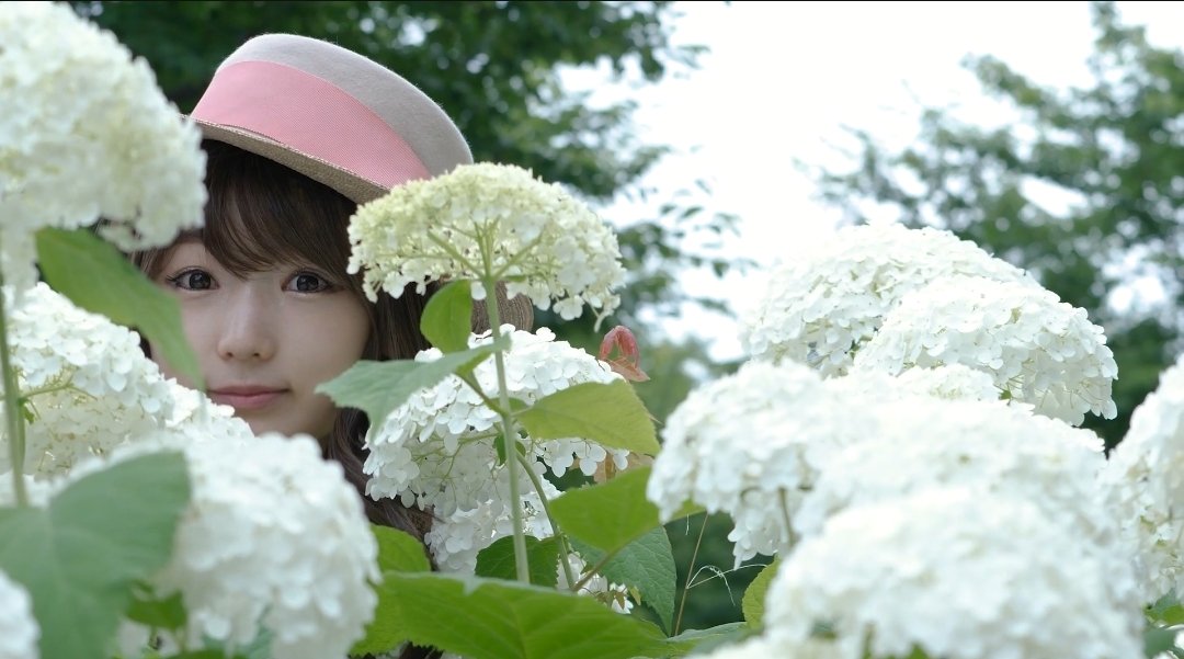 hisaeecholove's tweet photo. おはようございます🐔
雨の日を豊かにしてくれる八仙花。無常の美しさがあり紫陽花と心変わりってすごく重なり合ってる部分があるなと。日々色が移ろう紫陽花の姿は私たちの心と色とりどりな形で美しく時に切なくリンクしているから色気があるのかも♡この写真は私も紫陽花の気持ちになってます笑。 https://t.co/sRENoZpPjD