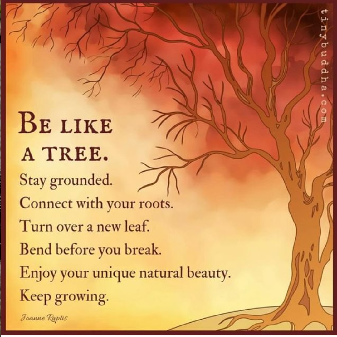 Lisabrinkellis's tweet photo. Morning https://t.co/nGw4kv1MoA