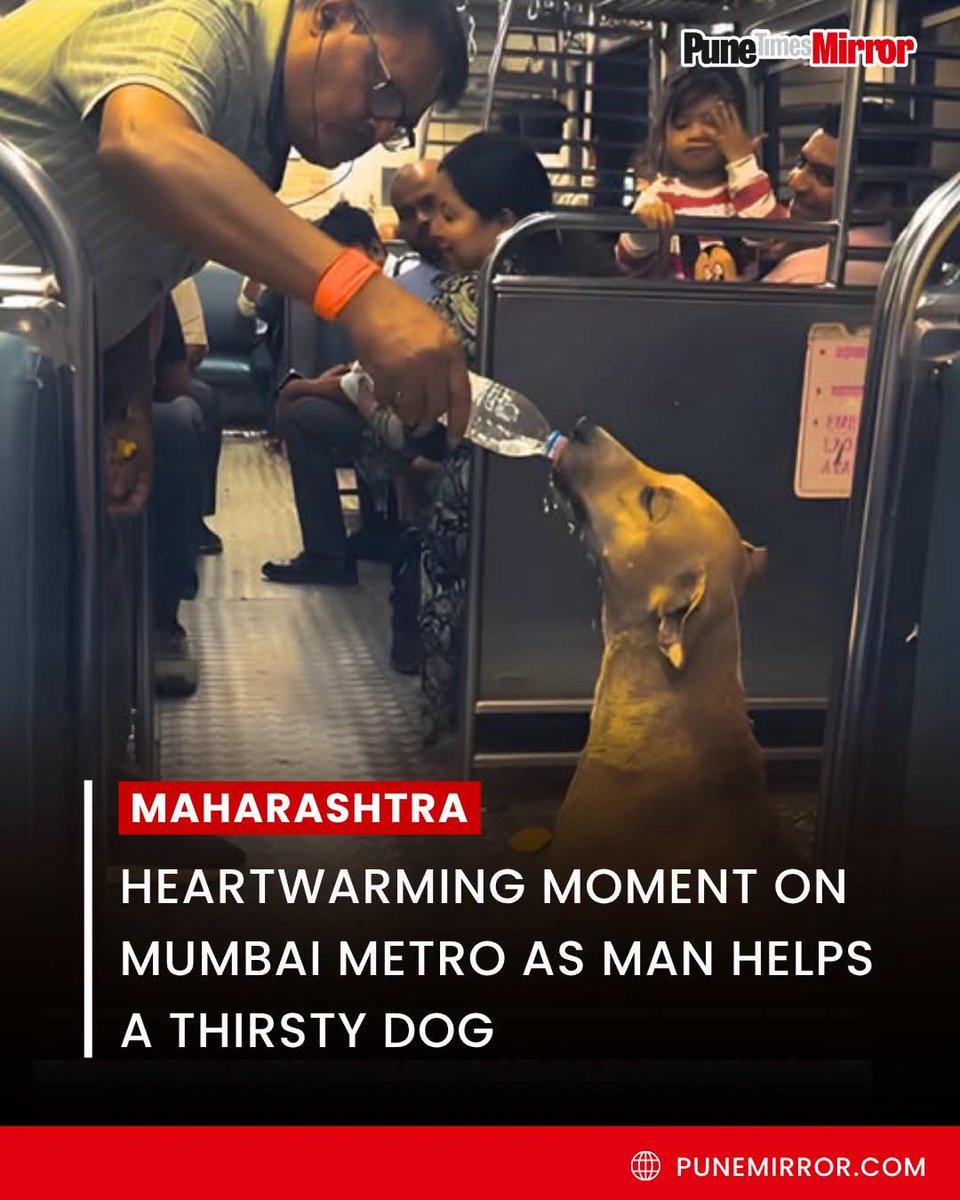 ranjanpanda's tweet photo. Respect 🙏🙌✨️💖
@Youth4WaterIn @WaterInitiativ1 @MahanadiRiver
#AprilCOOL #MayACT #JuneHEAT #beattheheat #BeatTheHeat2026 https://t.co/lgShF30u8k
