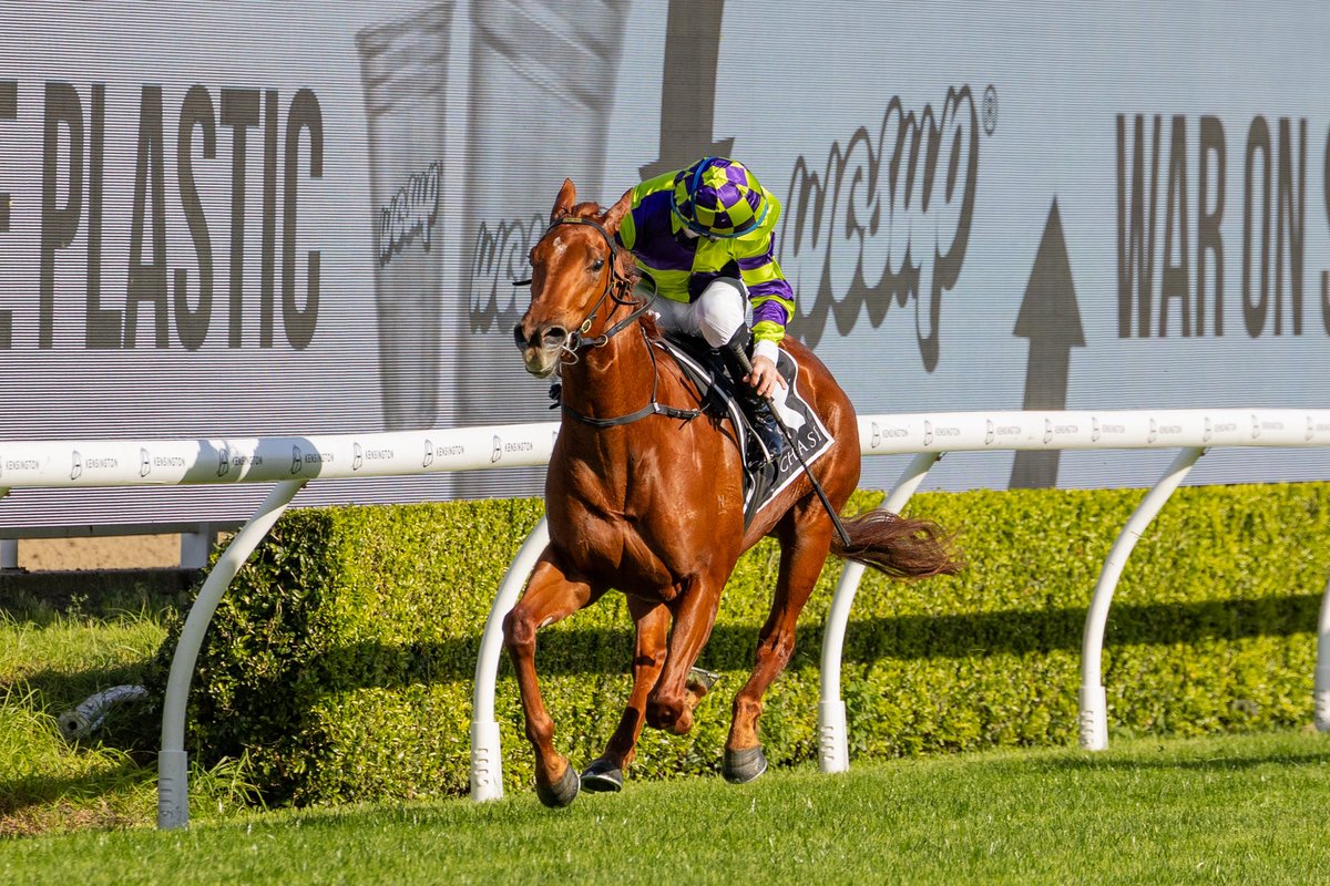 MFreedmanRacing's tweet photo. π’π£ CELESTIAL CHARM π£π’
Smart daughter of @newgatefarm Extreme Choice bolted in on the Kensington track today @royal_randwick_racecourse putting an easy 3 length gap on her rivals.
The 2yo filly was partnered again by @tommyberry1991 for the her second career start. The pair stepped up in trip to 1150m and broke away well from the gates finding themselves in the prime position.
Berry put the question to the filly at the 300m and she responded beautifully into top gear, flying on through the line.
Congratulations to all connections involved @MatthewSandblom .
πΈ @georgiayphoto