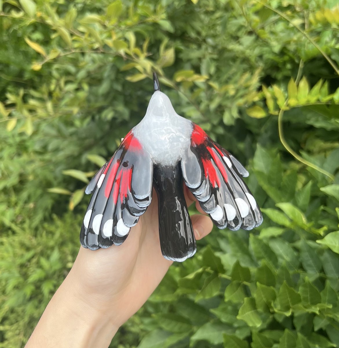 고방오리 オナガガモ 𓅰 tweet media