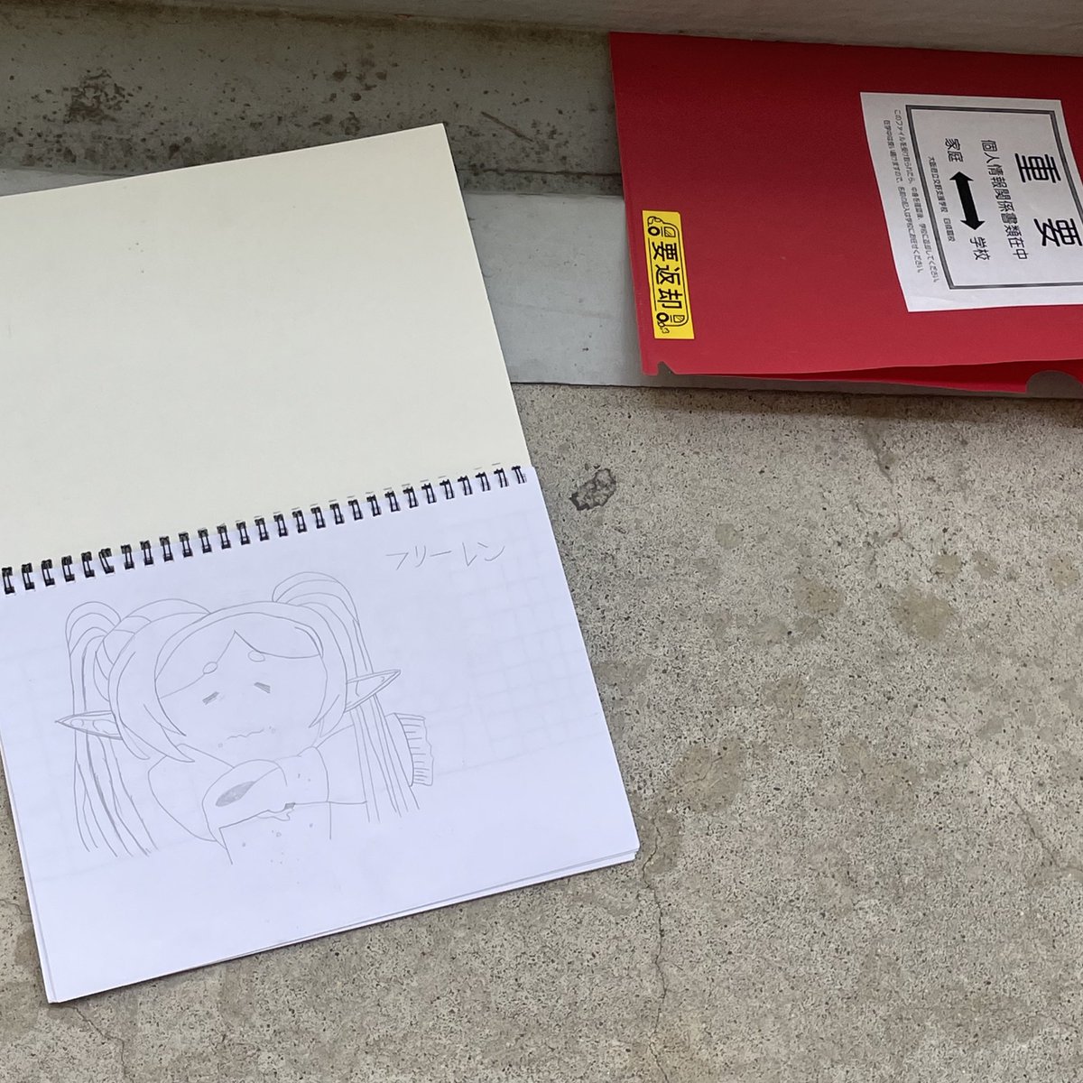 25vacance's tweet photo. 住んでる団地に斜視のカエルとフリーレン��ちてた https://t.co/SseaZc0uYT