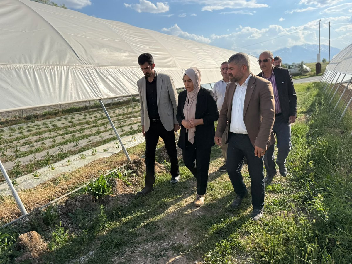 gulderenvarli's tweet photo. Dün gerçekleştirdiğimiz Payîzava (Gürpınar)Kadın Bostanı ziyaretinde, kadınların emeğiyle hayat bulan üretim alanını yerinde inceledik. Bu çalışmanın yalnızca üretime katkı sunmadığını, aynı zamanda dayanışmayı ve ortak yaşamı güçlendirdiğini gördük. Kadınların alın teriyle büyüyen bu bostan; paylaşmanın, birlikte üretmenin ve ortak başarıyı büyütmenin anlamlı bir örneğidir. Emek veren tüm kadınları ve diğer arkadaşları selamlıyor, çalışmalarında başarılar diliyoruz.

@gurpinarbel 
@MukaddesKrkcWan 
@TahirErtas65 
@DEMPartiWan 
#Gürpınar