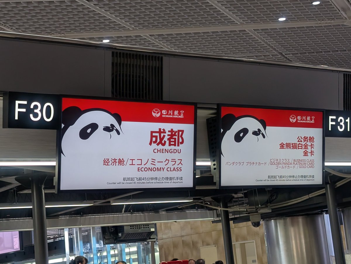 行ってきます🐼 #パンダイはじまるよ