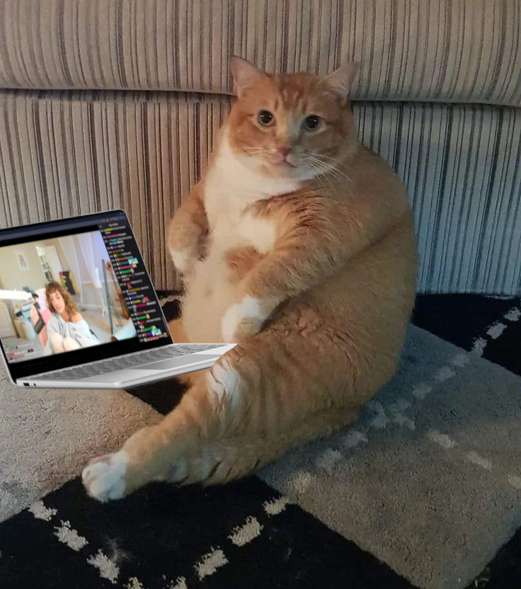 RowdyTomato's tweet photo. how i be moovin https://t.co/eHZrg8JLzy
