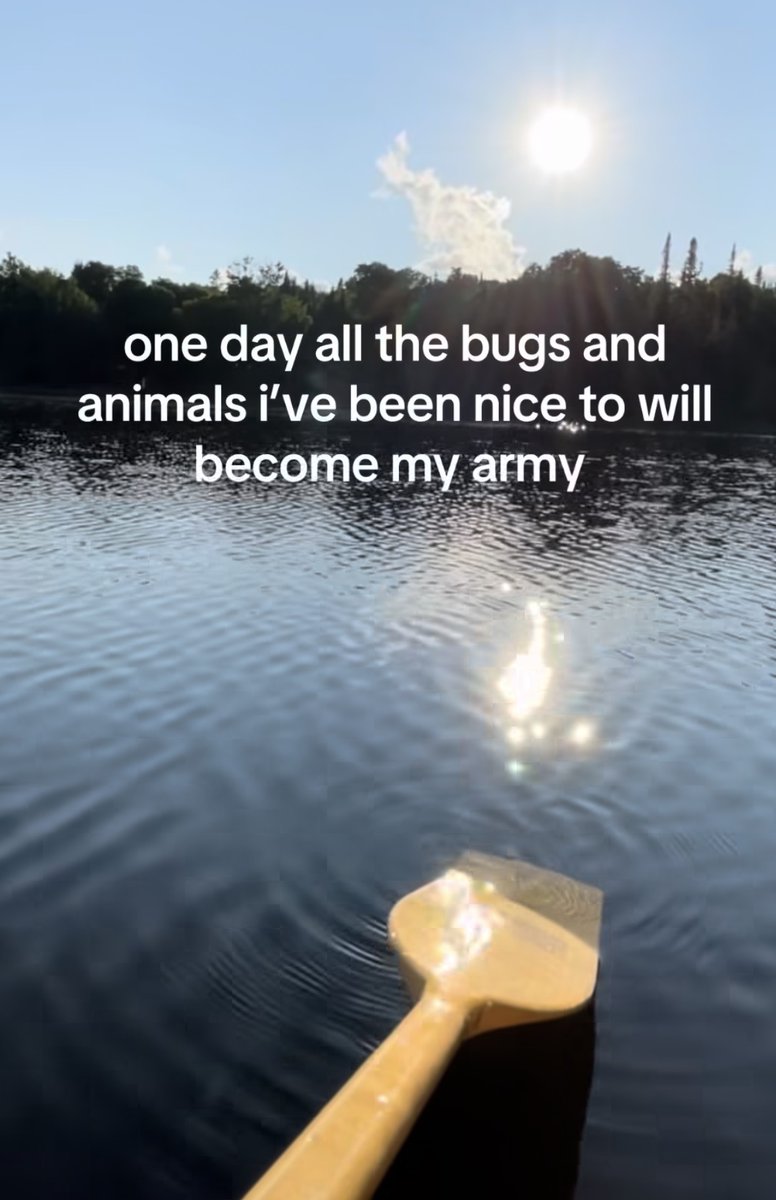 RespectfulMemes tweet picture