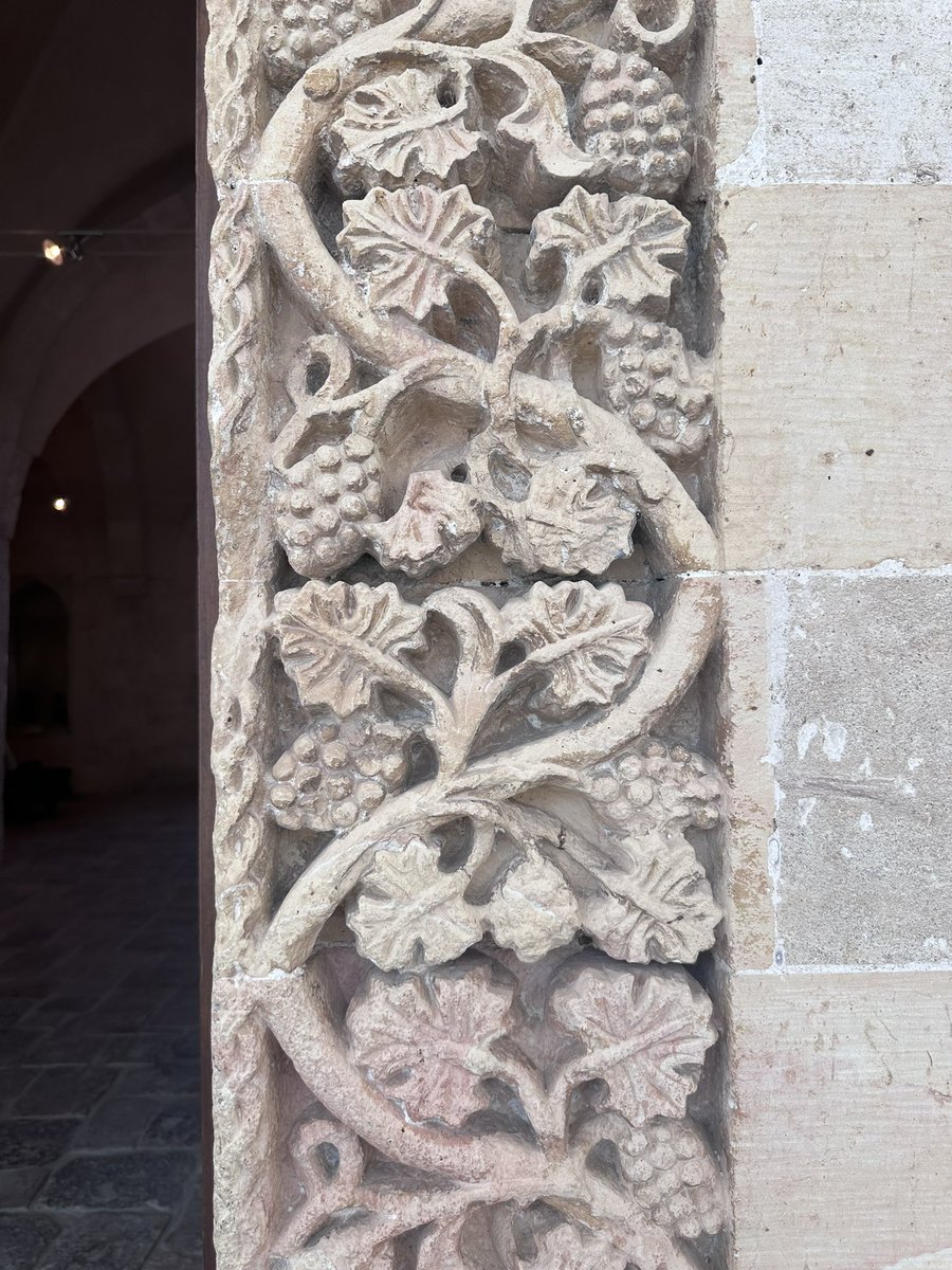 LokBeyaz's tweet photo. Zerafet 🌺
#Mardin https://t.co/5heXVPNlHr