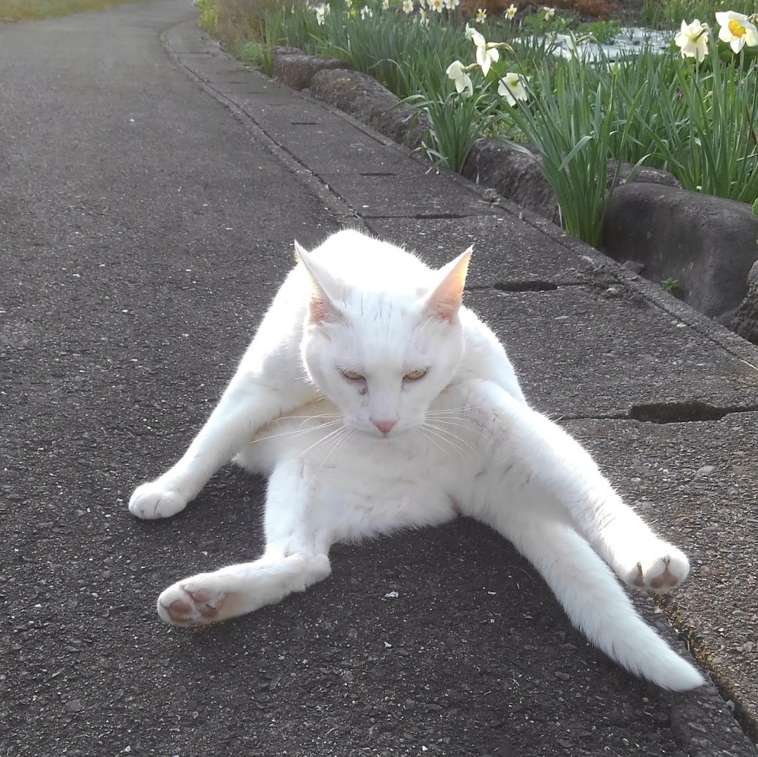 KAGet2's tweet photo. 秘蔵みのある写真、なかなか無いな…… https://t.co/7BPcUXpZVC