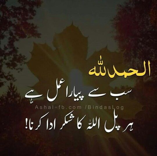 anayakhann8's tweet photo. ✨یا اللّٰہ ہمیں شکر گزار بنا✨ https://t.co/y2GgWR7WOU